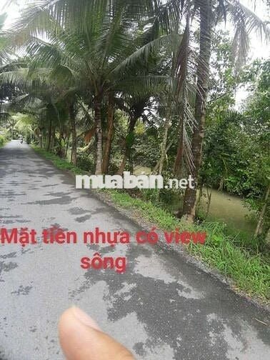 Bán đất vườn tâm huyết do cần tiền gấp