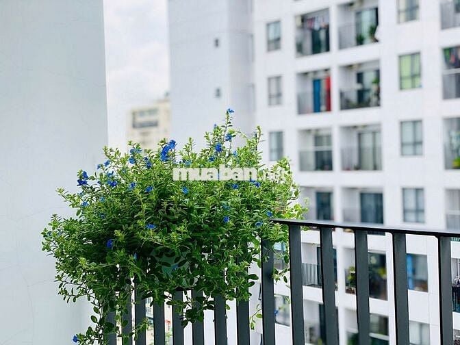 Bán CC 68m2, 2PN, 2WC tại M-One Nam Sài Gòn, 5 tỷ VND, Chính chủ
