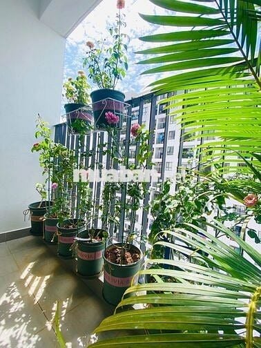 Bán CC 68m2, 2PN, 2WC tại M-One Nam Sài Gòn, 5 tỷ VND, Chính chủ