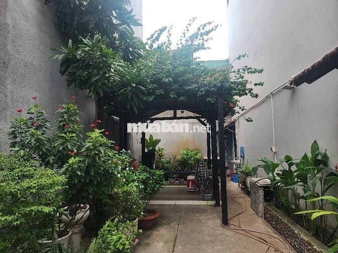 LÔ ĐẤT Đ PHẠM ĐĂNG GIẢNG, P. BÌNH HƯNG HÒA, 50 M2 (4,2x12), GIÁ 4,5 TỶ