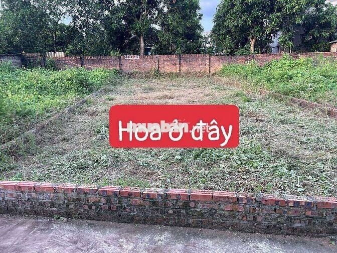 💥💥💥BÁN ĐẤT NAM SƠN – SÓC SƠN💥💥 💥💥💥BÁN ĐẤT NAM SƠN – SÓC SƠN💥💥