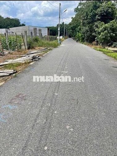 Đất Trừ Văn Thố Bầu Bàng Bán Gấp