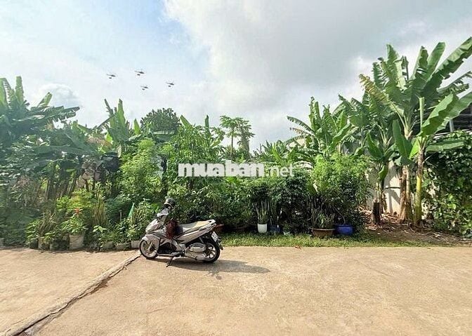 Chính chủ bán cặp đất nền thổ cư Đường Phùng Hưng, An Phước, DT 640m2