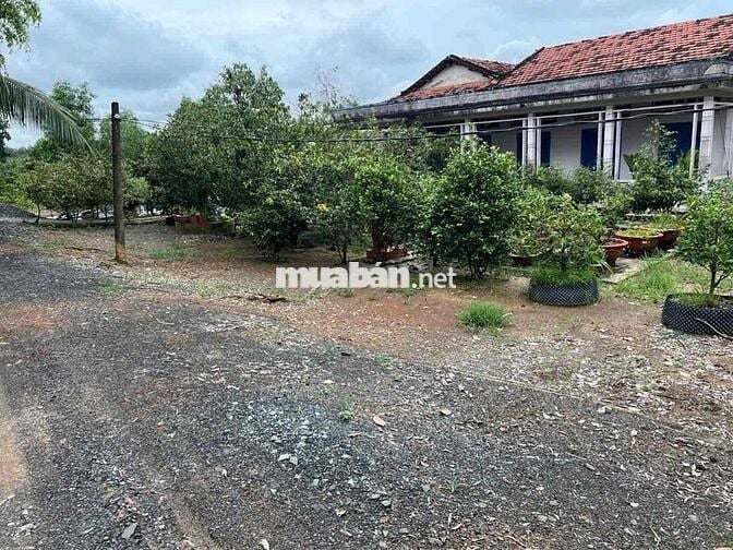 950m Full Thổ Cư,View Kênh đường 8m giá rẽ