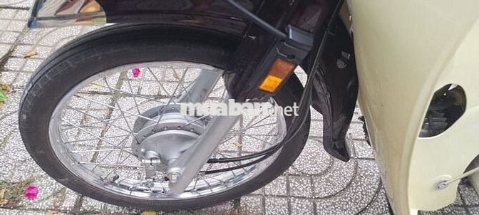 HONDA Dream Thái mới tinh