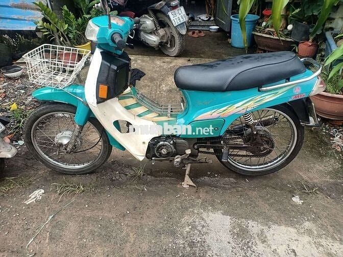 Maxx gtdd biển số tiến
