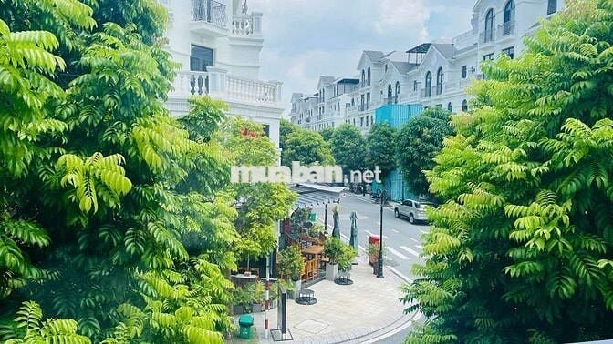Cho thuê biệt thự song lập vợ và làm văn phòng giá rẻ nhất OCP1Gia Lâm