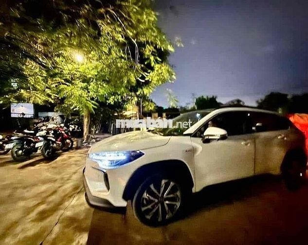 Cần bán cho người tiêu dùng, không bán Cò Lái