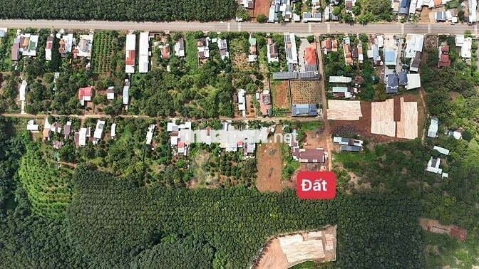 Anh trai kẹt tiền cần bán trong tuần