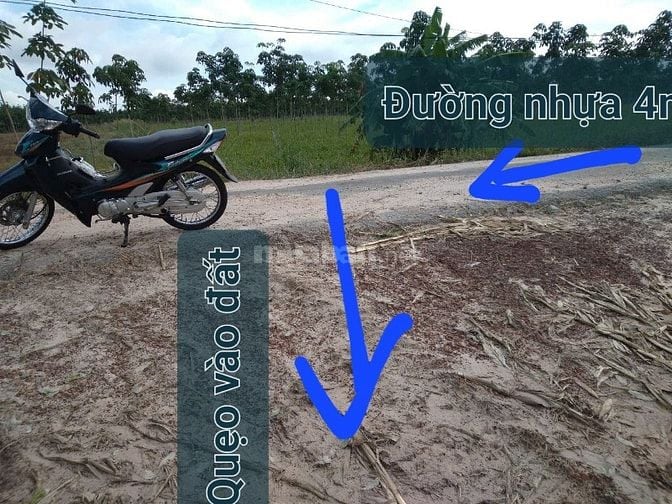 GĐ bán đất CAO SU 4.3ha (2tỷ4/ha TL) gần KCN Chà Là, rào B40 bao quanh