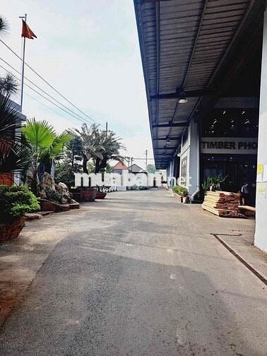 XƯỞNG HÓC MÔN DT KHỦNG GẦN 15000M2 (140 X 105M)- ĐƯỜNG CONTAINER TRÁNH