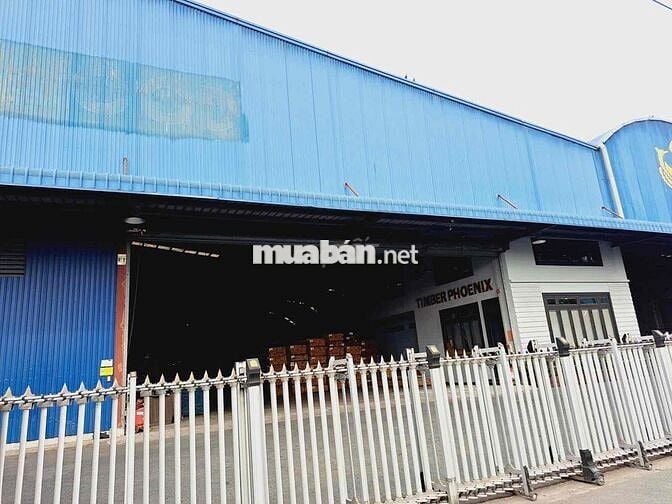 XƯỞNG HÓC MÔN DT KHỦNG GẦN 15000M2 (140 X 105M)- ĐƯỜNG CONTAINER TRÁNH