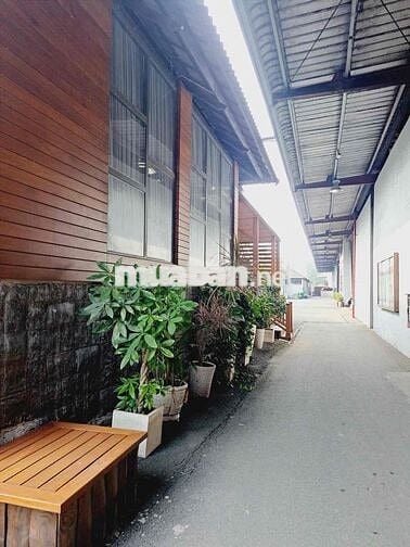XƯỞNG HÓC MÔN DT KHỦNG GẦN 15000M2 (140 X 105M)- ĐƯỜNG CONTAINER TRÁNH
