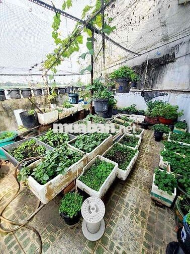 MẶT TIỀN KINH DOANH - 90M2 - 4TẦNG - (5x18) BÌNH HƯNG HOÀ A, KD ĐỈNH