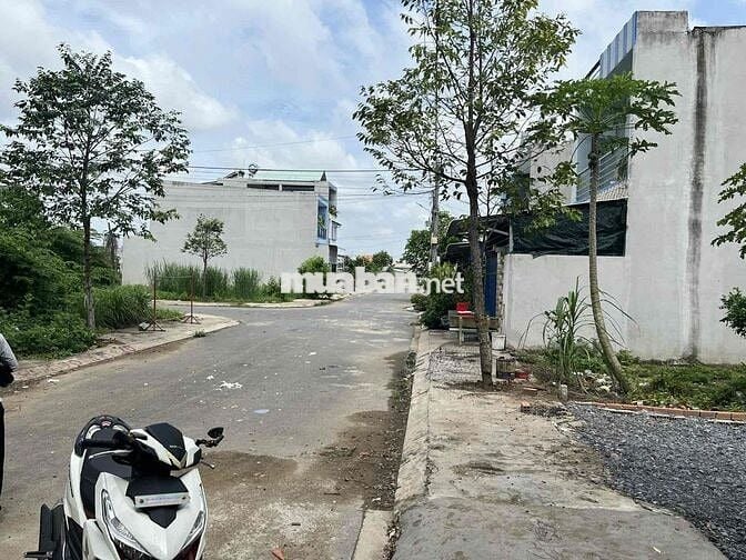 bán đất Long Trạch, Cần Đước, Long An