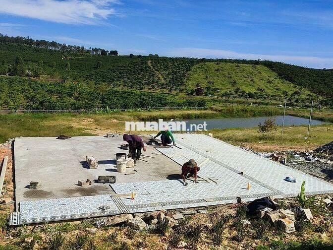 Bán nhanh lô đất Peru B 1028m2 sẵn 200m2 Tc giá 18 tỷ xã Lộc Ngãi
