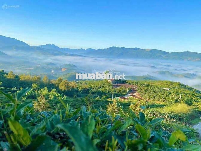 BÁN LÔ ĐẤT VƯỜN  NGHỈ DƯỠNG full thổ cư xây dựng tự do