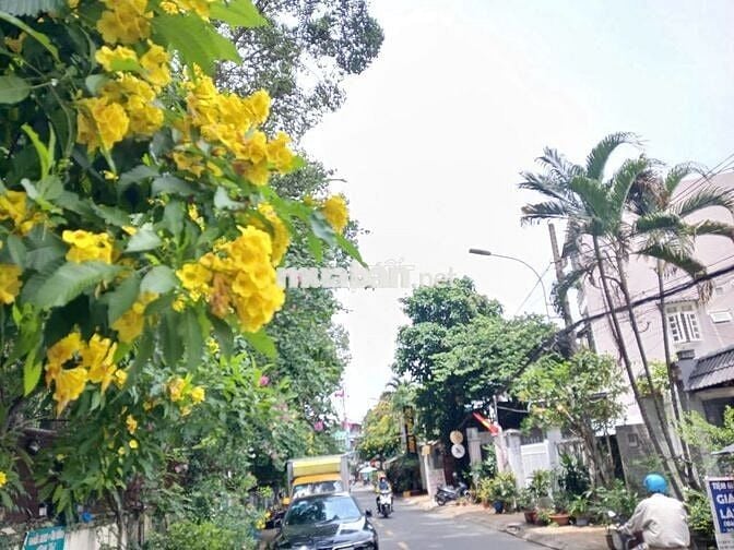 BÁN NHÀ MẶT TIỀN ĐƯỜNG SỐ 7 – 408M² – LINH CHIỂU, THỦ ĐỨC – GIÁ 32.5