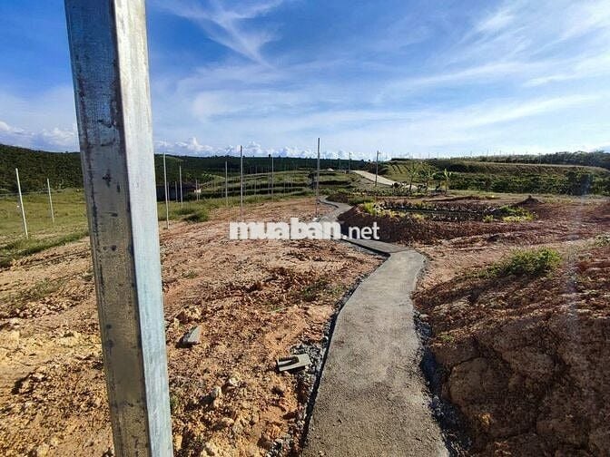Bán nhanh lô đất Peru B 1028m2 sẵn 200m2 Tc giá 18 tỷ xã Lộc Ngãi
