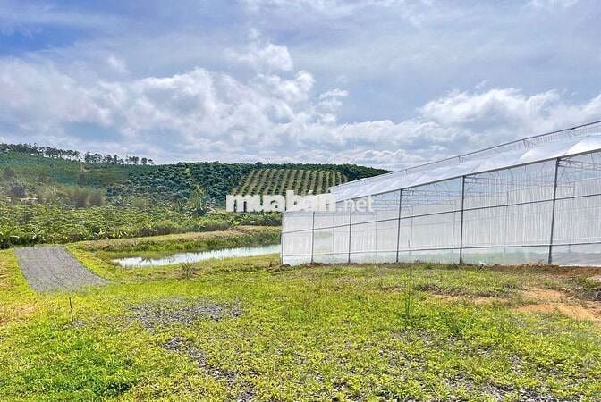 Bán nhanh lô đất Peru B 1028m2 sẵn 200m2 Tc giá 18 tỷ xã Lộc Ngãi