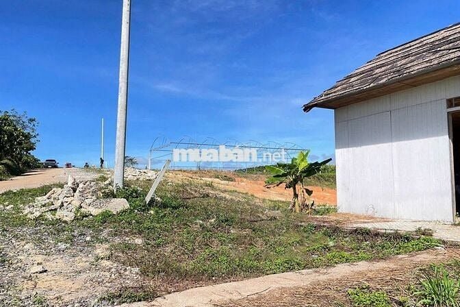 Bán nhanh lô đất Peru B 1028m2 sẵn 200m2 Tc giá 18 tỷ xã Lộc Ngãi