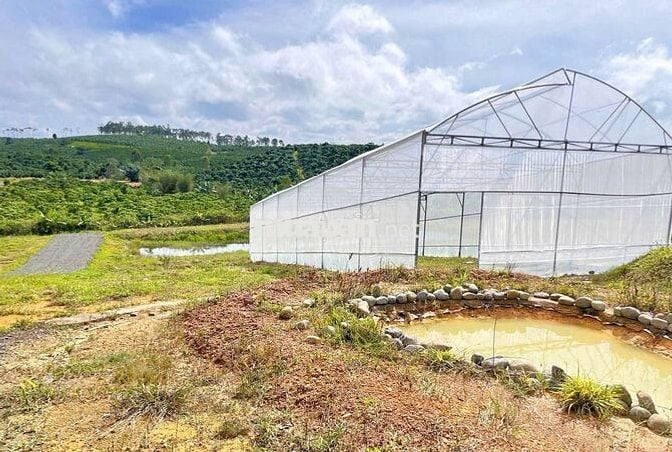 Bán nhanh lô đất Peru B 1028m2 sẵn 200m2 Tc giá 18 tỷ xã Lộc Ngãi