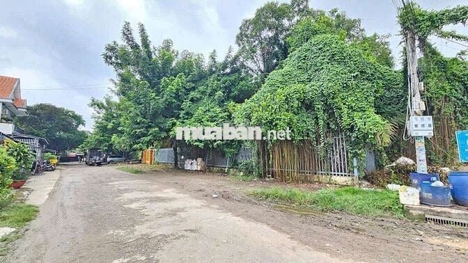 Bán đất KDC Thuận Giao 1535m² ( 2 mặt tiền )