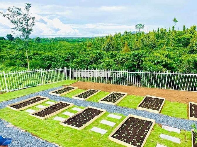 BÁN LÔ ĐẤT VƯỜN  NGHỈ DƯỠNG full thổ cư xây dựng tự do