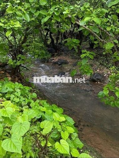 Bỏ phố về quê – không ngờ lại lời tới vậy!