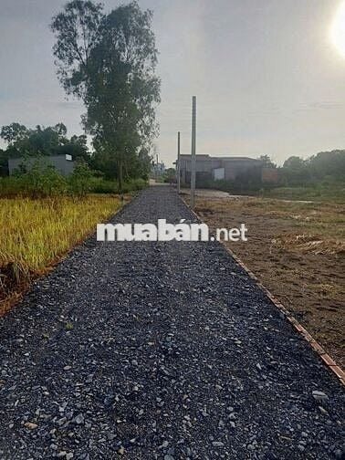 Đất đẹp View Sông Cần Giuộc. 500m2/680tr, Mỹ Lộc, Cần Giuộc. SHR/CLN