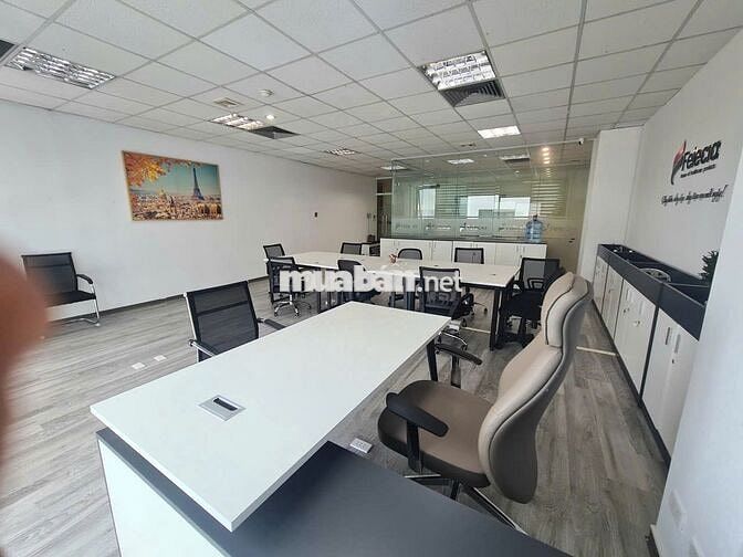 Sang nhượng Văn phòng 36 Hoàng cầu