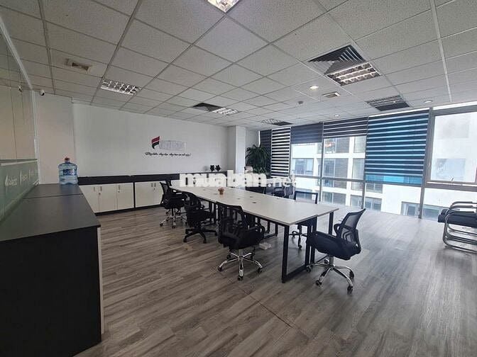 Sang nhượng Văn phòng 36 Hoàng cầu