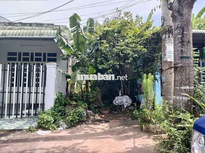 NỀN ĐẸP: đường 9A KĐT 5A, Phường phú lợi - đoạn 22-23