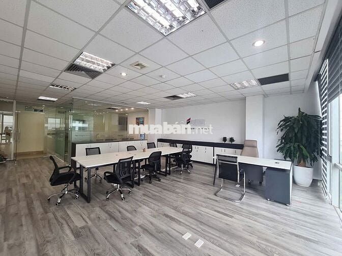 Sang nhượng Văn phòng 36 Hoàng cầu