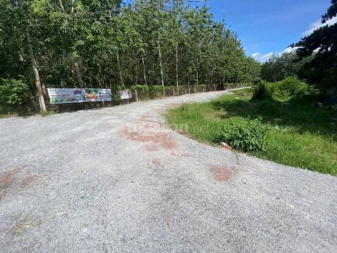 Full thổ cư gần KCN, sổ sẵn. 10m mặt tiền. 230tr