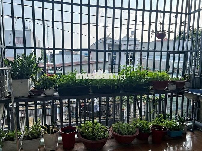 Nhà HXH Lý Thường Kiệt giá 2.3 tỷ nhà 3 tầng