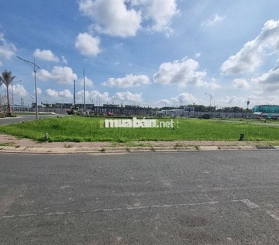 Nền hẻm thổ cư Nam Long 2, Cái răng