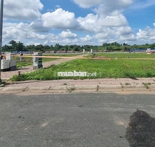 Nền hẻm thổ cư Nam Long 2, Cái răng