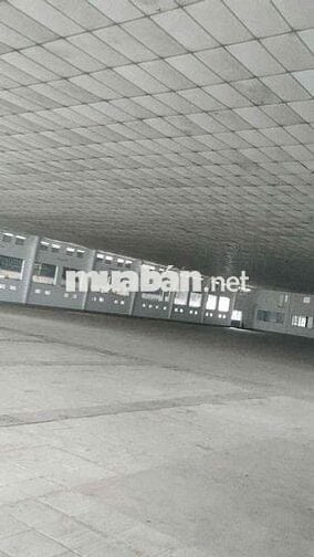 NHÀ XƯỞNG THUẬN AN 6000m CHO THUÊ