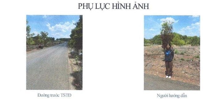 BÁN ĐẤU GIÁ TS VIB TẠI ĐỒNG TIẾN, ĐỒNG PHÚ, BÌNH PHƯỚC (CỦ)