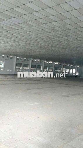 NHÀ XƯỞNG THUẬN AN 6000m CHO THUÊ