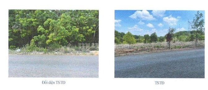 BÁN ĐẤU GIÁ TS VIB TẠI ĐỒNG TIẾN, ĐỒNG PHÚ, BÌNH PHƯỚC (CỦ)