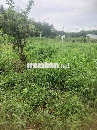 Sang nhanh lô đất 183m2 ở Phú Giáo giá chỉ 270tr
