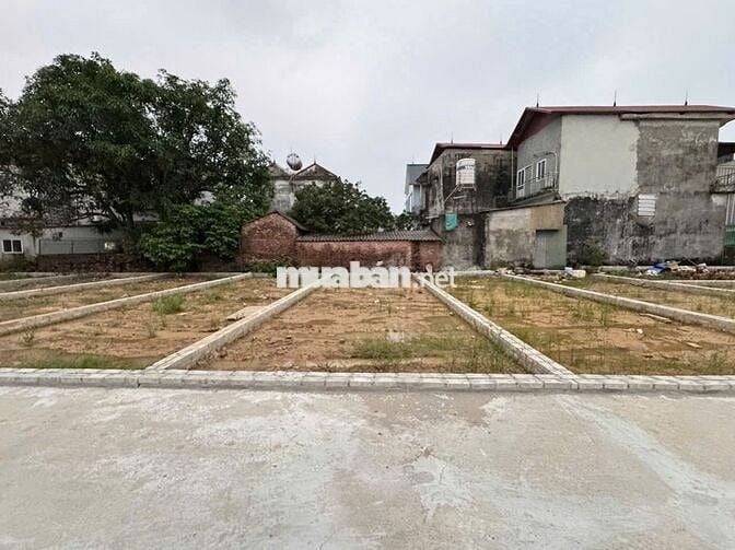 Bán đất thôn Ấp Tre, (Tổ 9 cũ), xã Quang Minh, TP HN. Thửa đất vuông