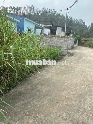 Cần Bán Đất Liên Khê Thuỷ Nguyên Hải Phòng