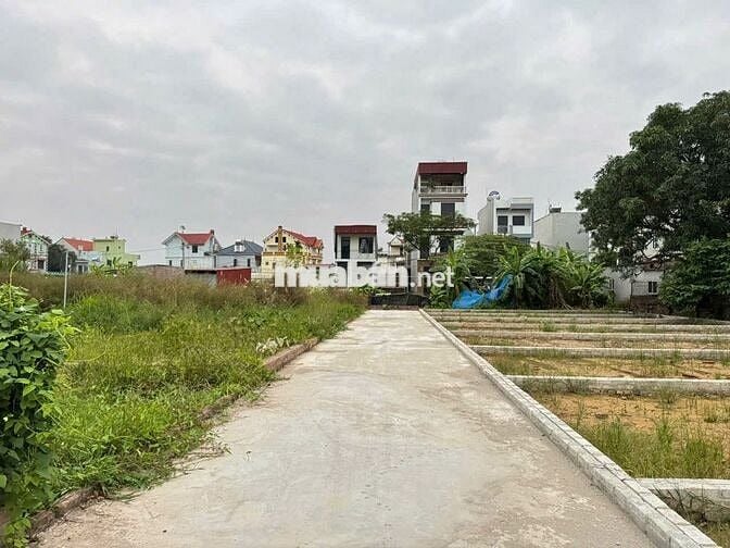 Bán đất thôn Ấp Tre, (Tổ 9 cũ), xã Quang Minh, TP HN. Thửa đất vuông