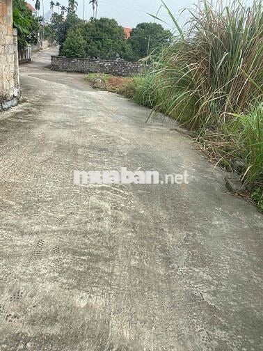 Cần Bán Đất Liên Khê Thuỷ Nguyên Hải Phòng