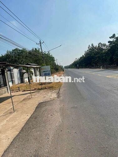 Đất sào giá ngộp dầu tiếng - HCM