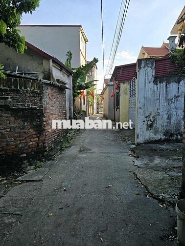 Đất Gia Lâm, 42m2, mặt tiền 4.2m, ô tô cách 15m. Sổ đỏ đầy đủ.