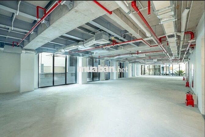 Cho thuê văn phòng đường Trần Hưng Đạo, dt 134m²